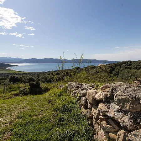 U Turracconu 1 Lejlighed Serra-di-Ferro (Corsica)
